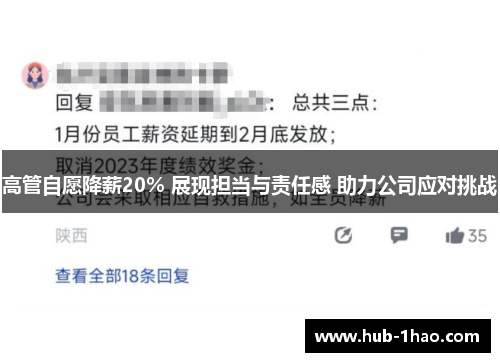 高管自愿降薪20% 展现担当与责任感 助力公司应对挑战