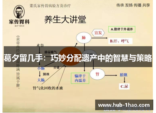 葛夕留几手：巧妙分配遗产中的智慧与策略